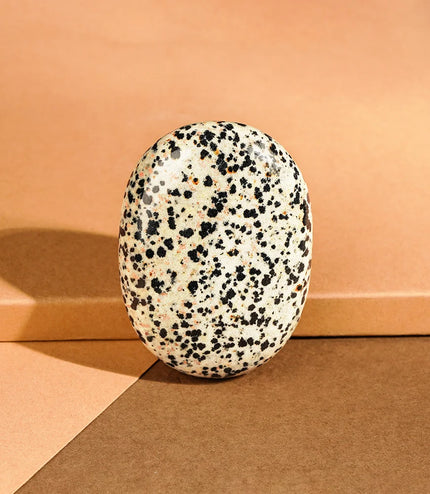 Dalmatian Jasper Palm Stone