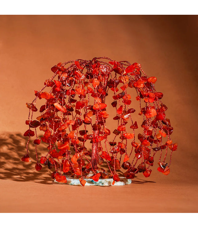 Carnellan willow Tree