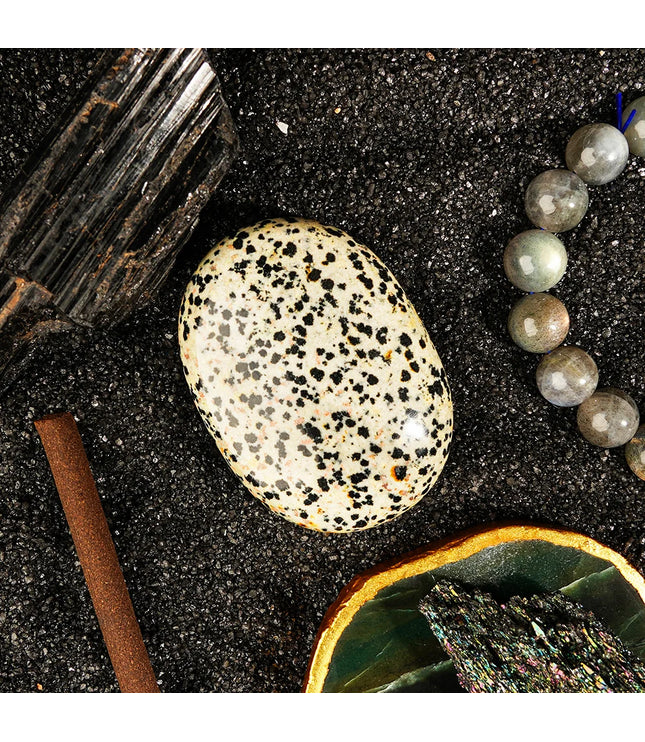 Dalmatian Jasper Palm Stone