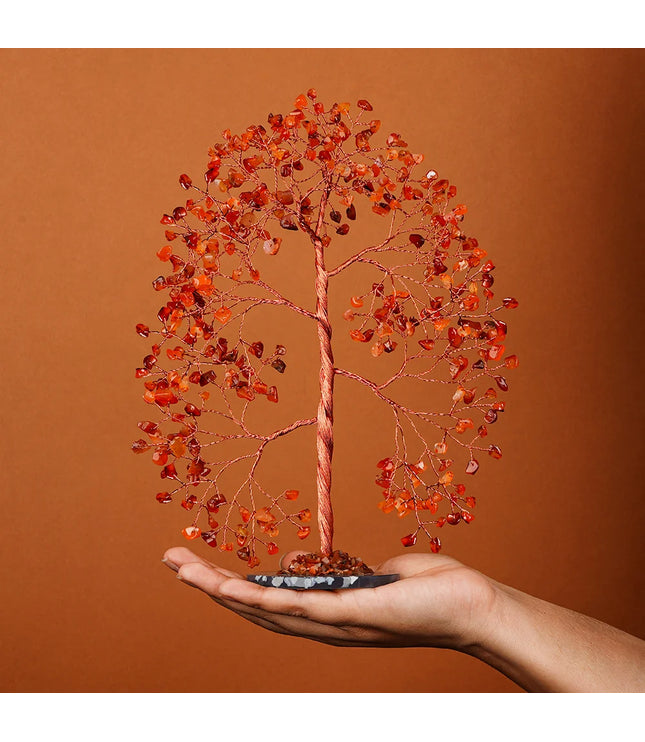 Carnellan Slice Base Tree