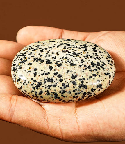 Dalmatian Jasper Palm Stone