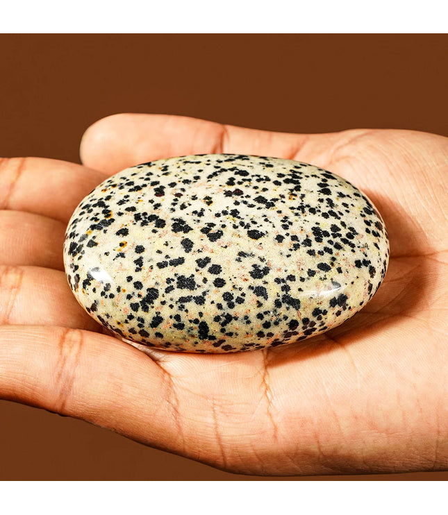 Dalmatian Jasper Palm Stone